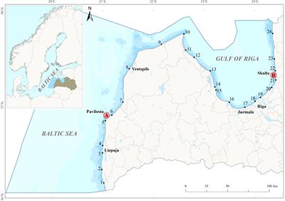 The baseline for micro- and mesoplastic pollution in open Baltic Sea and Gulf of Riga beach
